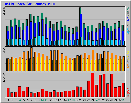 Daily usage for January 2009