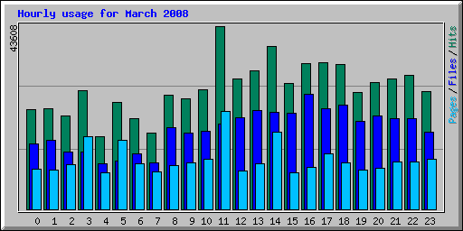 Hourly usage for March 2008