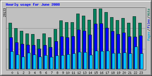 Hourly usage for June 2008