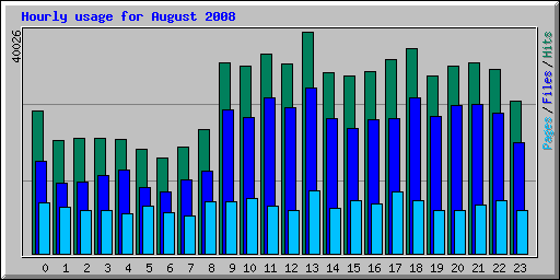 Hourly usage for August 2008
