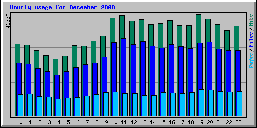 Hourly usage for December 2008