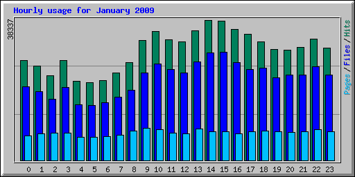 Hourly usage for January 2009