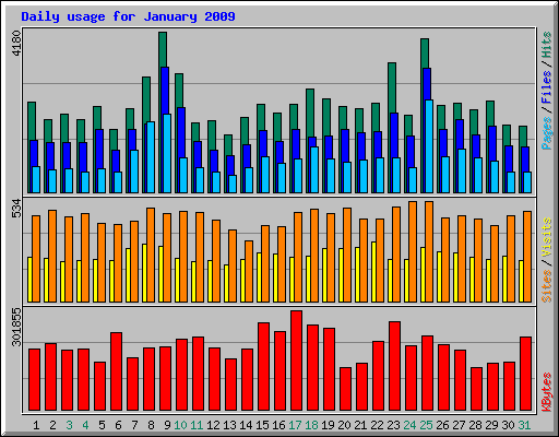 Daily usage for January 2009