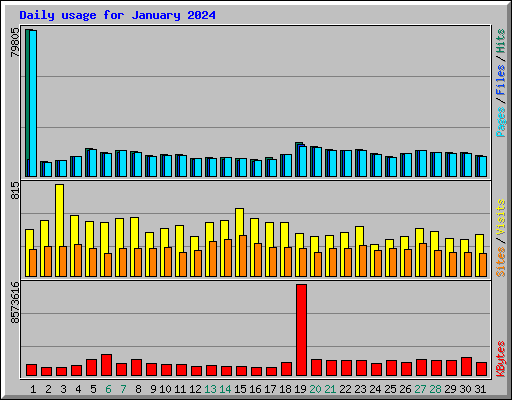 Daily usage for January 2024