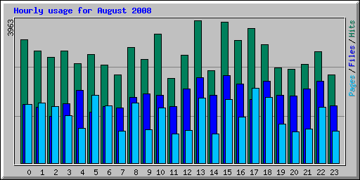 Hourly usage for August 2008