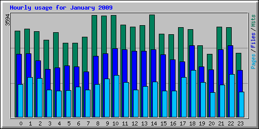 Hourly usage for January 2009