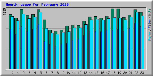 Hourly usage for February 2020