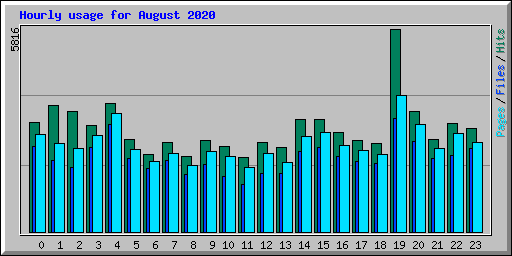 Hourly usage for August 2020