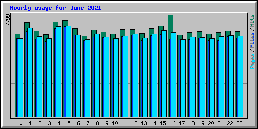 Hourly usage for June 2021