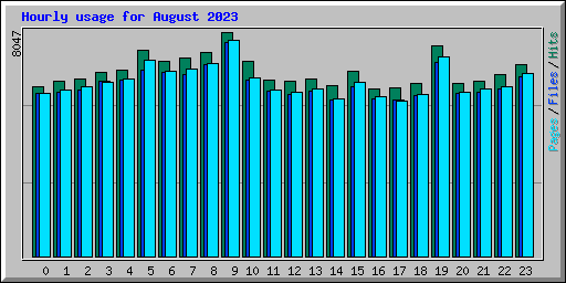 Hourly usage for August 2023