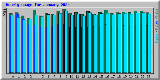 Hourly usage for January 2024