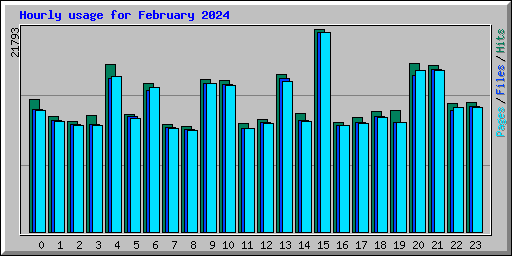 Hourly usage for February 2024