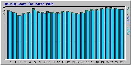 Hourly usage for March 2024