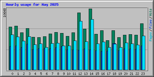 Hourly usage for May 2025