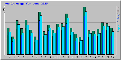 Hourly usage for June 2025