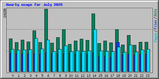 Hourly usage for July 2025