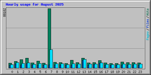 Hourly usage for August 2025
