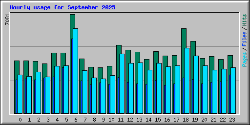 Hourly usage for September 2025