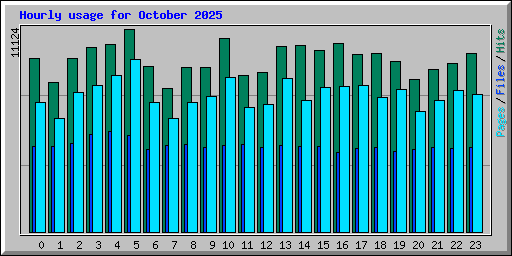 Hourly usage for October 2025