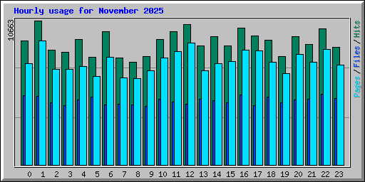 Hourly usage for November 2025