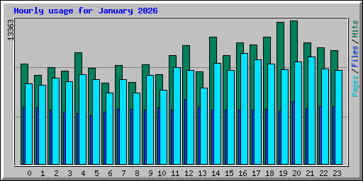 Hourly usage for January 2026
