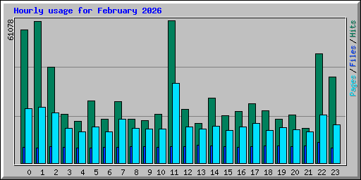 Hourly usage for February 2026