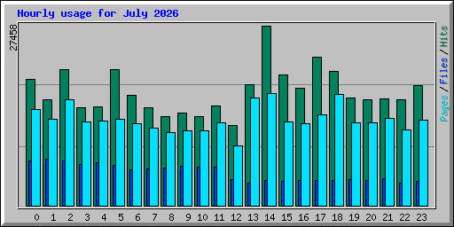 Hourly usage for July 2026