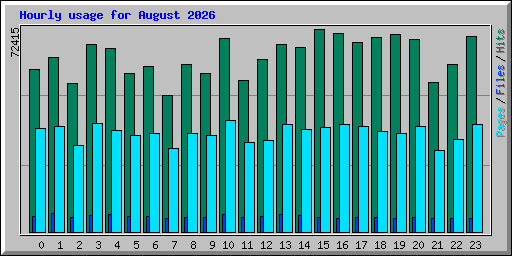 Hourly usage for August 2026