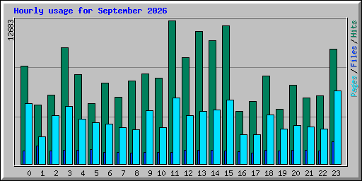 Hourly usage for September 2026