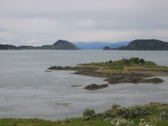 IMG_0124.JPG