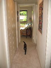 back.hallway.jpg