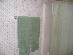 master.bathroom.2.jpg